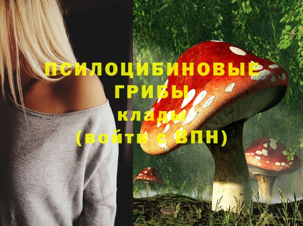 spice Инсар
