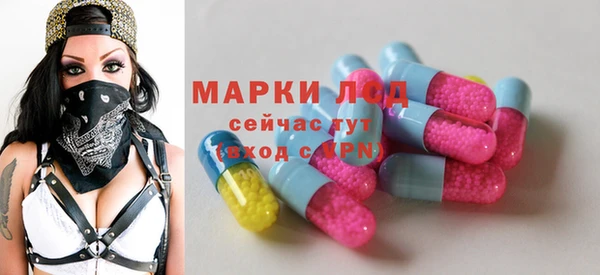 spice Инсар