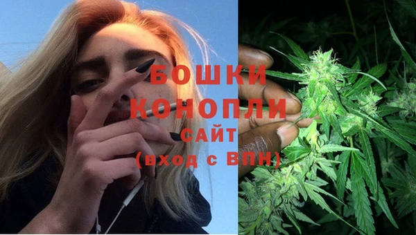 spice Инсар