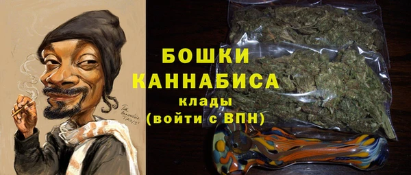 spice Инсар