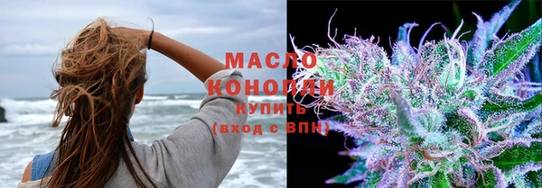 гидропоника Инта