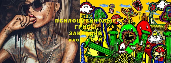 гидропоника Инта